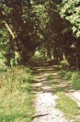
The tramroad approaching the kilns, Kepwick Railway, North Yorkshire, August 1975